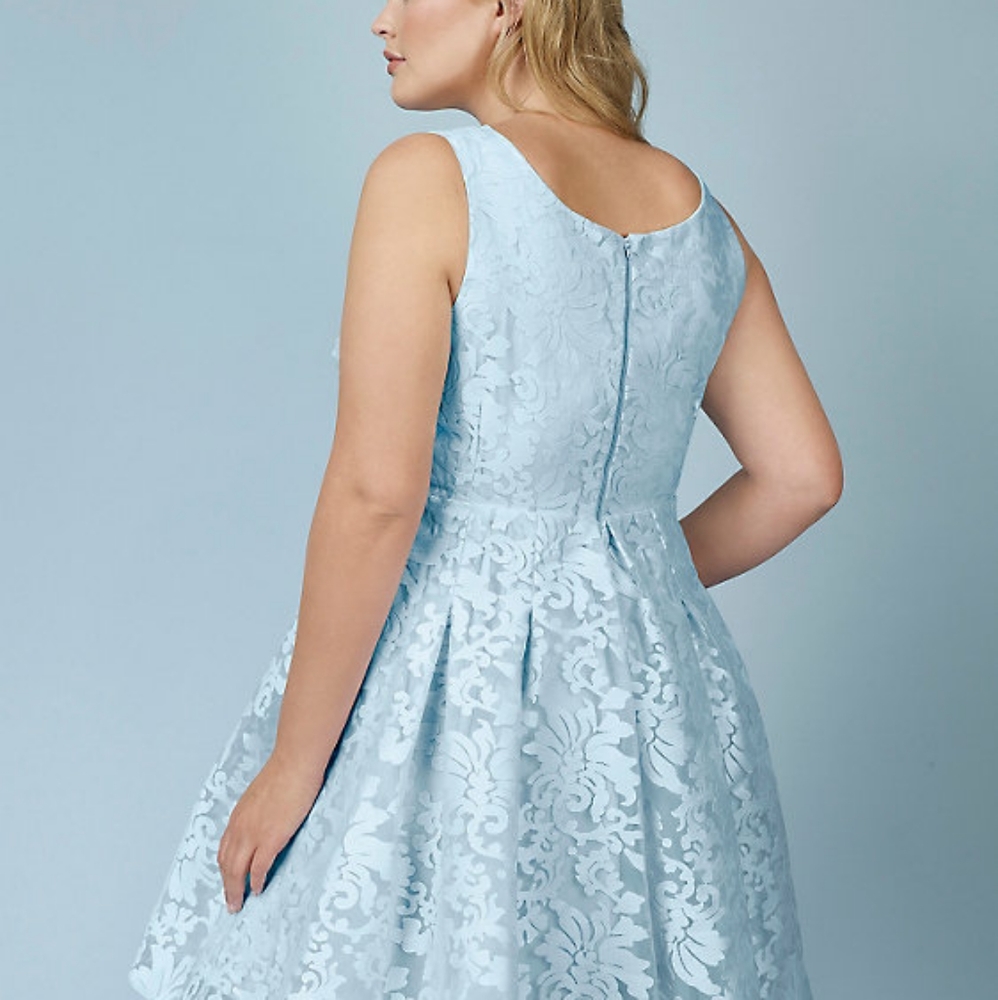 Blue Rebel Wilson dress